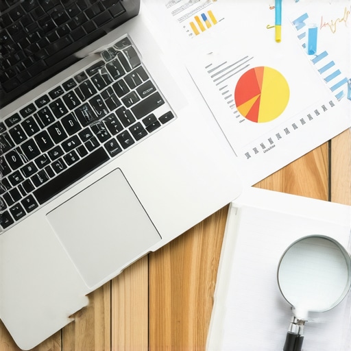 A Manual Audit Routine to Spot Ranking Gaps Automated Tools Miss
